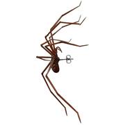 Giant Spider Earrings - Scary Spider Earring | Realistic Decorative Spider Creepy Ear Studs | Fashionable Ear Decorations for Halloween, Lightweight Jewelry for Daily Life, Dates