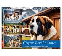 Giant St. Bernard UK-Version (Wall Calendar 2026 DIN A4 Landscape), CALVENDO 12 Month Wall Calendar