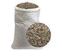 Giant Sunflower Seeds Bulk Sack - Extra-Large Premium Wholesale Grade - 25kg Bulk Sack