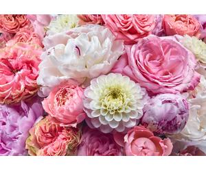 Giant wall mural wallpaper 12x8.33 ft Flowers white pink dining room decor art