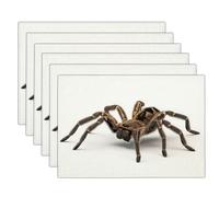 Giant Wolf Spider Placemats Set of 6, Animal Realism Heat Resistant Table Place Mats Non Slip Washable Table Mats for Party Kitchen Home Dining Holiday Place Mat Decor 45x30cm, Brown