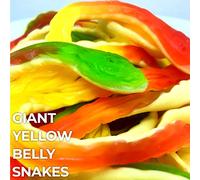 Giant Yellow Belly Snakes