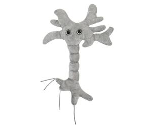 GIANTmicrobes Brain Cell Plush - Learn About Brain Science with this Memorable Neuron, Fun Educational Gift for Family, Friends, Scientists, Students, Doctors, Neuroscience and Psychology fans