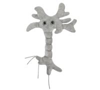 GIANTmicrobes Brain Cell Plush, Neuron Plush, Neuroscience Gift, Neurology,