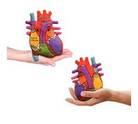 GIANTmicrobes Heart Organ Model Plush - Learn About The Heart with This Anatomical Heart Organ Model, Educational Biology Gift for Friends, Family, Cardiologists, Educators, Students and Patients