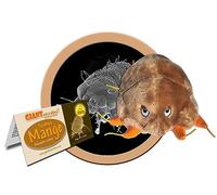 GIANTmicrobes Mange Plush - Learn about Mites and How They Cause Skin Disease, with this Educational Gift for Friends, Veterinarians, Educators, Pet Lovers, and Anyone with a Healthy Sense of Humor