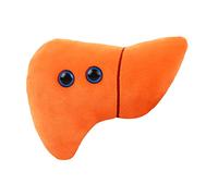 GIANTmicrobes Stuffed Liver Plush, Liver Stuffed Animal, Anatomical Liver, Hepatologist Gift, Liver Transplant Gifts, Hepatitis Gift, Hepatology Gift, Cirrhosis Gift, Liver Pillow, Liver Donor Gift