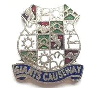 Giants Causeway Ireland Small Quality enamel lapel pin badge T176