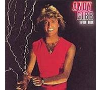 GIBB, Andy - After dark / 2394 247