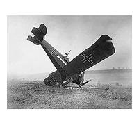 Gibbon German Hannover Aircraft Crash WWI War 1918 Photo Art Print Canvas Premium Wall Decor Poster Mural