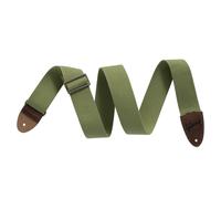 Gibson The Canvas (Green)