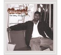 Gibson - The Many Struggles [Explicit]