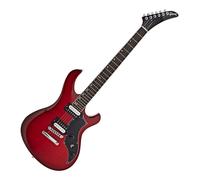 Gibson Victory Figured Cherry Burst #204060387