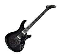 Gibson Victory Floyd Rose Translucent Ebony Burst