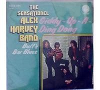 Giddy-up-a-ding dong / Vinyl single [Vinyl-Single 7'']