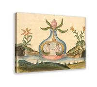 GIEIG Mermaid And Merman Alchemical Illustration By Clavis Artis Canvas Art Poster And Wall Art Picture Print Modern Family Bedroom Decor Frame 20x30inch(50