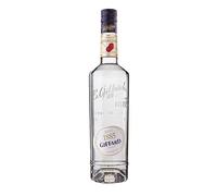 Giffard Marasquin Maraschino Liqueurs