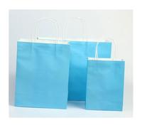 Gift Bag 20 Pcs Color Paper Bag With Handles | Festival Wedding Gift Shopping Bags(COLOR5,Width-height 40x30cm)