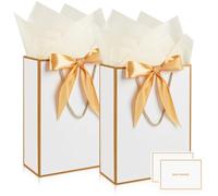 Gift Bags for Present, 2 Pcs Medium Gift Bag with 2 Wrappers and 2 Cards, Paper Gifts Bags with Handles for Women Men Birthday Wedding Party