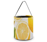 Gift Bags with Handle Tote Candy Bags Portable Gift Bucket Beautifully Fresh Lemon Printed Candy Bag Candy Basket Tote