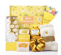Gift Baskets for Women - Unique Birthday, Christmas & Inspirational Gifts for Best Friend, Girls, Sisters & Friendship - Brighten Her Day