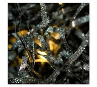 Gift Box Filling Shredded Tissue Paper, Crinkle Cut Shredded Tissue Paper for Gift Wrapping and Basket Filling Multicolor 1kg(Black)