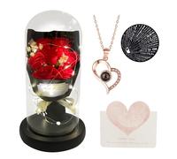 Gift for Her Forever Flower Bouquet for Delivery Prime Preserved Red Roses Glass Dome LED Light 100 Languages I LOVE YOU Necklace Mothers Day Birthday Romantic Valentines Gift for Wife Women Mom