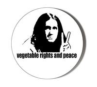 Gift Insanity NEIL YOUNG ONES QUOTE 58mm novelty badge