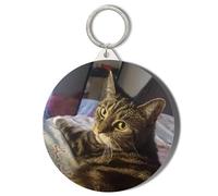 Gift Insanity VERY CUTE GORGEOUS TABBY CAT WITH ATTITUDE LOOKING BACK AT CAMERA - 45mm Short Chain Mirror Keyring