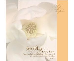 ひだまりの中で GIFT OF LIFE 命のおくりもの Guitar melody with Orchestra Instrumental