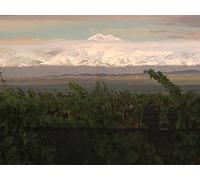 Gift of the Andes: Mendoza, Argentina and Its Wines