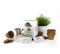 Gift Republic Bonsai Grow It Kit In Green Green One Size