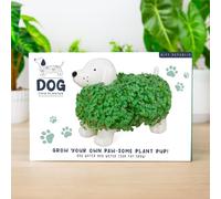 Gift Republic Chia Dog Planter - Grow Your Own Terracotta Pet with Chia Seeds | Fun Indoor Gardening Kit & Novelty Gift for Plant Lovers