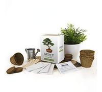 Bonsai Grow It Kit Gift Republic Green One Size