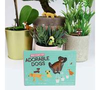 Set of 4 Mini Plant Pot Dogs - Novelty Pant Pot Garden Decorations - Indoor Plant Gift Idea