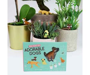 Gift Republic Mini ADORABLE DOGS Plant Pot 4 Pack Novelty Adult Gift