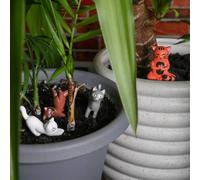 Gift Republic Mini Plant Pot Yoga Cats In Purple Purple One Size