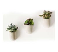 Gift Republic Novelty Magnetic Concrete Planters Ornament Plant Pot Set Gift