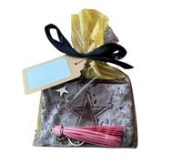Gift Set - Metallic Star Purse & Tassel Keyring - Soft Touch Velvet Purse with Sparkly Star Design & Star Zip Pull - Cellophane Wrapped with Ribbon & Blank Gift Tag (Purple)