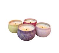 Gift Set Of 4 Insect Repellent Scented Candles