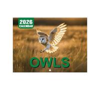 Gift Wildlife Calendar - Monthly Wall Calendar With Owl Patterns, Funny Cute Family Planning Calendars | Personal Time Management Organizing Supplies For To-Do List Appointments Holiday Planning
