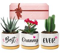 Giftasy Granny Gifts, Granny Birthday Gifts, Best Granny Ever Succulent Pots Gifts for Granny from Grandchildren, Unique Garden Gift Ideas for Granny on Birthday Christmas Mothers Day