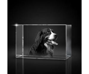 Giftic 3d Laser Engraved Classic Rectangle Crystal Custom Photo Print, Personalised Gifts for her/him, dad/mom, Anniversary Couples Gifts (Wide, XXL: 20x13x8cm, Glass Crystal)