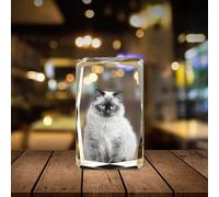 Giftic 3D Modern Customized Crystal Photo, Personalized Mothers Day Gifts With Your Own Photo for Him, Her, Mom, Dad Gift (Tall, Small: 8x5x5cm, Glass Crystal)