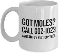 Giftme Avogadro's Pest Control Chemistry Mug,Chemistry Teacher, Teacher's Day, Thanks-Giving, 11oz White Ceramic Mug Coffee Tea Mug.