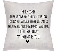Giftme I Feel So Lucky My Friend is You Friendship Present Idea for Women Men Sister Coworker Roommate BFF Home decor Linen Throw Pillow/Cushion Cover.