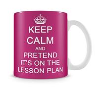 Giftme Keep Calm and Pretend It's On The Lesson Plan Teachers Day,Teacher Appreciation, End of School Year Coffee Tea Mug Unique 11oz White Ceramic Mug. (Hot Pink)