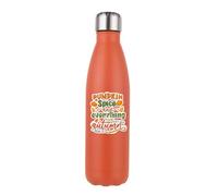 Giftme Pumpkin Spice and Everything Nice, Autumn Gift, Stainless Steel Bottle. (Matt Orange)