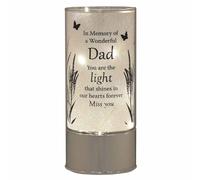 GIFTS 4 ALL Memorial Light Tube for DAD, RIP Dad Memory Light, Silver Glass, Table Top Light