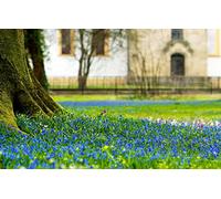 Gifts Boys Puzzle 2000 pieces, natural beauty, castles, glades, flowers 70x100CM